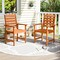 Costway Patio Chairs Set of 2/4 with Inclined Backrests and Slatted Seats for Deck